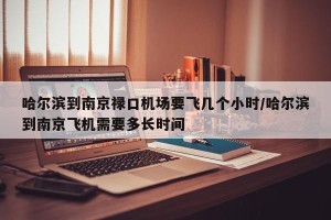 哈尔滨到南京禄口机场要飞几个小时/哈尔滨到南京飞机需要多长时间