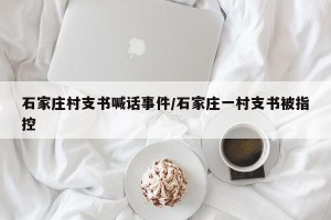 石家庄村支书喊话事件/石家庄一村支书被指控